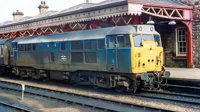Class 31
